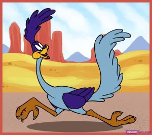 how-to-draw-road-runner_1_000000003103_5